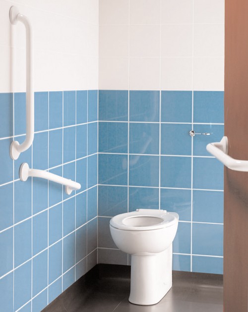 Ambulant Back To Wall Pack With White Grab Rails. additional image