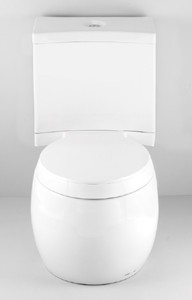 Ofuro WC Toilet with pan, push flush cistern & fittings and seat.