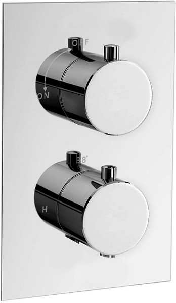 Twin Thermostatic Shower Valve, Ceiling Arm & Round Head. additional image