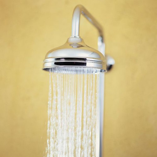 Trad. Thermostatic Valve & Riser with 6" head & handset. additional image