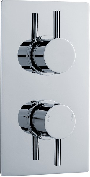Twin Thermostatic Shower Valve With ABS Trim Set. additional image