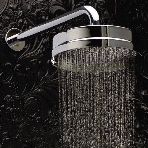 8" fixed shower head and arm additional image