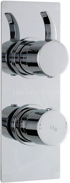 Twin Concealed Thermostatic Shower Valve (Chrome). additional image