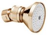 Click for Deva Shower Heads Single Function 2" Shower Rose (Gold).