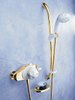 Click for Mira Excel Exposed Thermostatic Shower Kit & Slide Rail, Gold & White.