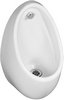 Click for Shires Concealed Trap Urinal Bowl.