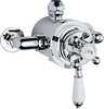 Click for Hudson Reed Traditional Dual exposed thermostatic shower valve.